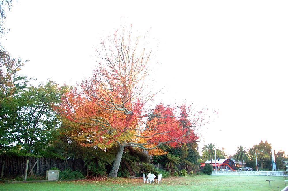 Fairy Springs Motel Rotorua Extérieur photo